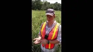 Question and Answer - Archaeology: How do you know where to dig?