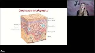Анжелика Цветкова   Вебинар Болезни ногтей на руках и ногах, болезни кожи стоп
