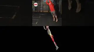 How far can you jump? Standing Broad Jump 