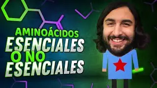 Los Aminoácidos | Aprende Ciencia | El Profesor Dave lo Explica