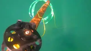 There's Always a Bigger Fish!!  Battling a Goliath for a Grouper