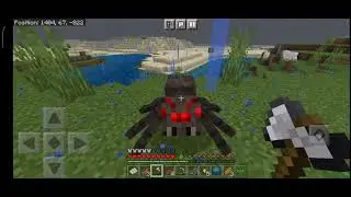 a normal day for a spider