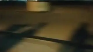 Cat against Dogs.