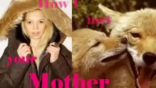 PROTECT ANIMALS !!!!!!!!