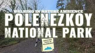 Polenezkoy National Park Walking Tour, Peaceful Place, Water Sound and Chirms, 4K