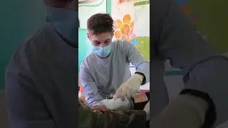 соревнования Школа безопасности 