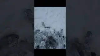 Зимова 
