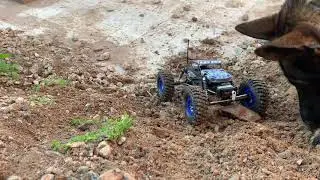 ECX Temper 1/18th Scale Rock Crawler