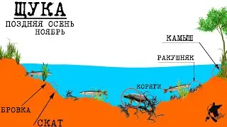 ЩУКА. Поздней осенью. Ты ОБЯЗАН это знать🎣 #рыбалка #щука #хищник