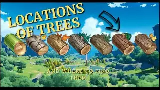 All Types of Trees locations and Clusters| GENSHIN IMPACT