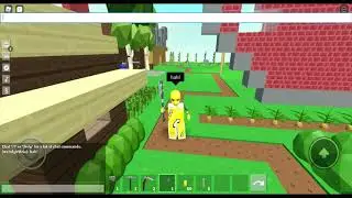 5 types of people in sky block!