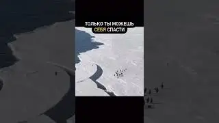 Мы сами создаём свою судьбу