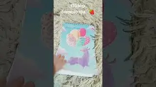 обзор блокнотов🍓