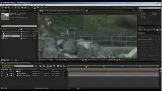 Shot Clean Up: People Removal - After Effects Tootorial
