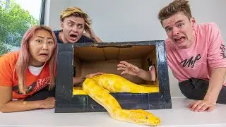 Whats in the Box Challenge (ft. Team RAR)