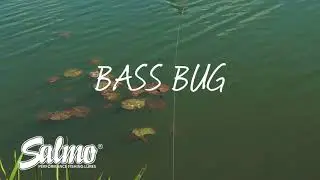 Salmo Bass Bug - On the Water