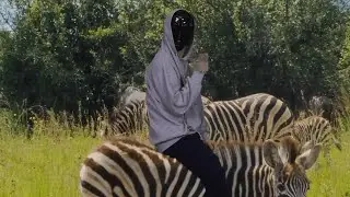 Riding a Zebra...