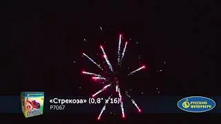Р7067  Стрекоза