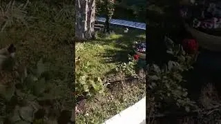 Сочи