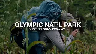 Olympic National Park Road Trip | Shot on Sony FX6 + A7iii
