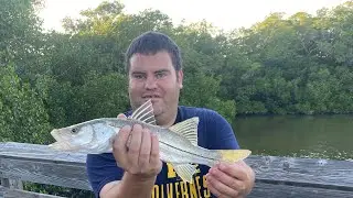 Gettin back 2 Da #Snook SWFL