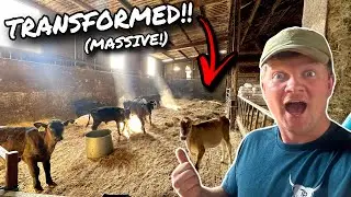 THE FARMERS MASTER PLAN!!... THEY GOT A NEW HOME!!