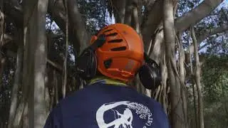 The Arborist |Promotional Video|