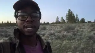 Hotel Prius on MY LAND!!!!!!