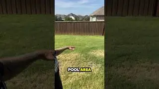 Dream backyard, what would you do? What would this space become for you?