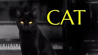 Наркомания Сьюзен! - The Cat Lady №1 -