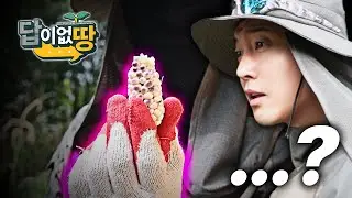 옥수수 맞습니다 (EP.20 답이없땅)
