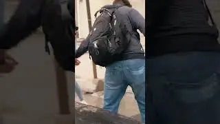 Собака робот пранк