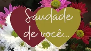 MENSAGEM DE AMOR WHATSAPP | MENSAGEM ROMÂNTICA