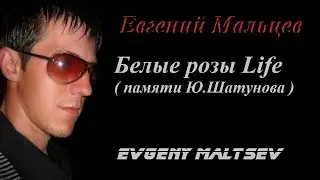 Евгений Мальцев - Белые розы ( памяти Ю.Шатунова )