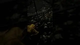Чувак отдыхает