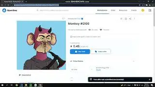 I made $27,000 with this NFT Opensea Bidding Bot
