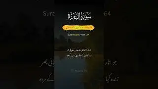 Surah Baqara Verse 164 Translation in Urdu #quran #quranrecition #shorts