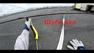 Ради серой шубы свесился с 16этажки