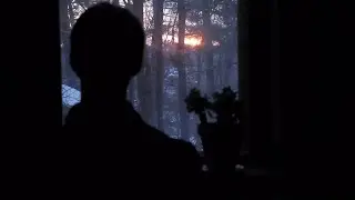 The Quarantine Life | Documentary/Short Film (Matti Haapoja Film Fest Entry)