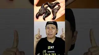 Шайтан жаңғақты жегенадамдар ешқашан 