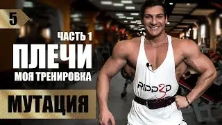 Как накачать плечи? Изи схема!