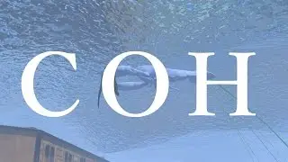 Сон 2017