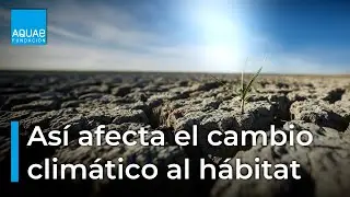 🌡️🌲  Así AFECTA el CAMBIO CLIMÁTICO a los hábitats naturales 🌲 🌡️