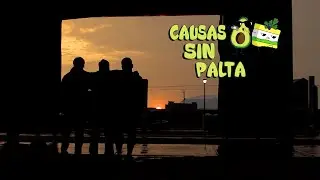 CAUSAS SIN PALTAS - VIDEOCLIP OFICIAL