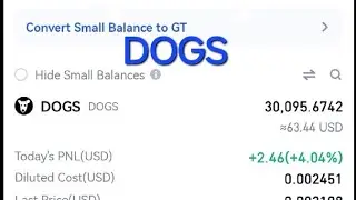 Dogs Finally in the wallet
