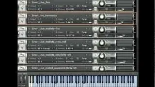Virtuasonic SINORI LIVE DEMO