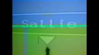 Deadly premonition Sallie's flying