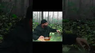 Пошёл по лесу Запашок #мем #memes #выживальщик #еда #смех