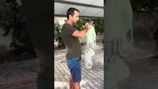 Serpme nasıl atılır