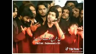 #Ya Hussain 🌹🌹🌹 ❤️❤️ ❤️ # Video